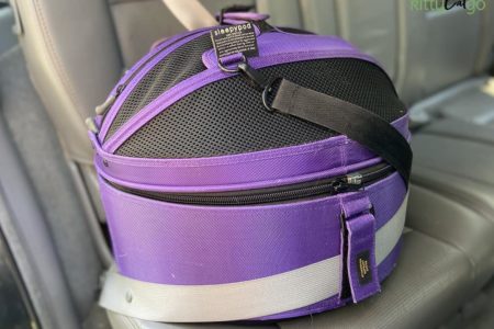 Tips for Traveling with a Cat by Car