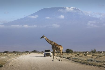 7 of the best road trips in Kenya: top tips for a memorable journey