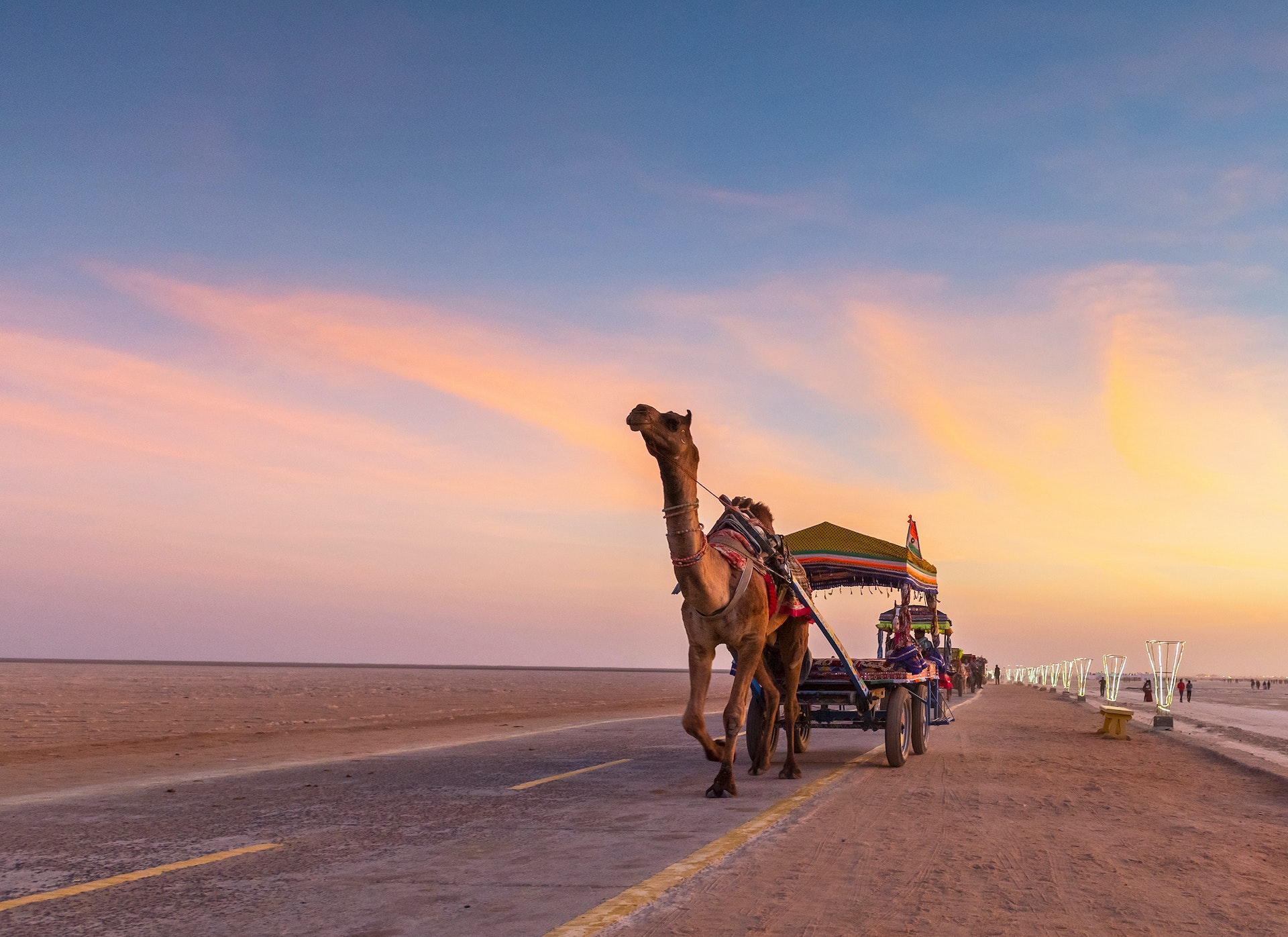 A camel draws a cart on a road through a desert landscape
