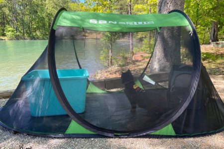 The Ultimate Guide to Camping with a Cat