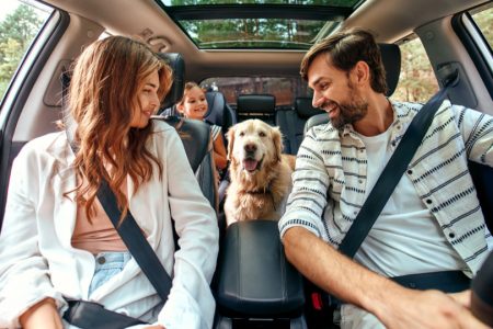 Pet-Friendly Journeys: A Comprehensive Guide to Traveling with Your Furry Companions